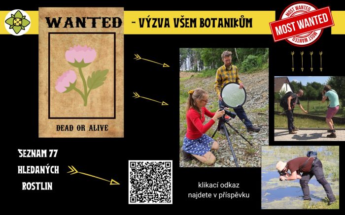 Výzva „Wanted“ Výzva "Wanted"